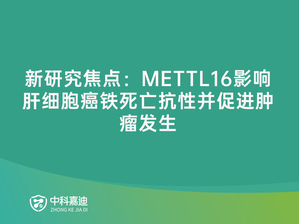 http://sduqdu.cn/uploads/20250117/32f04bfc958a7203a290b59e6a475c93.png