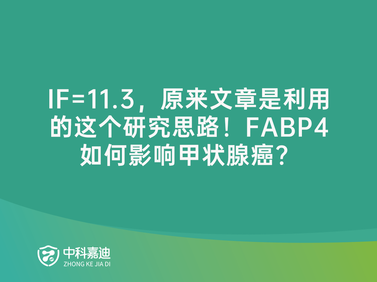http://sduqdu.cn/uploads/20250117/93422464dad0b095cea18e7a2da59427.png